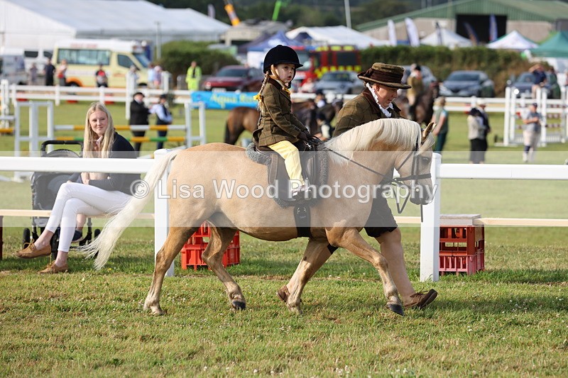 JPP_0263 - Class 14: Cornish Combination Leading Rein