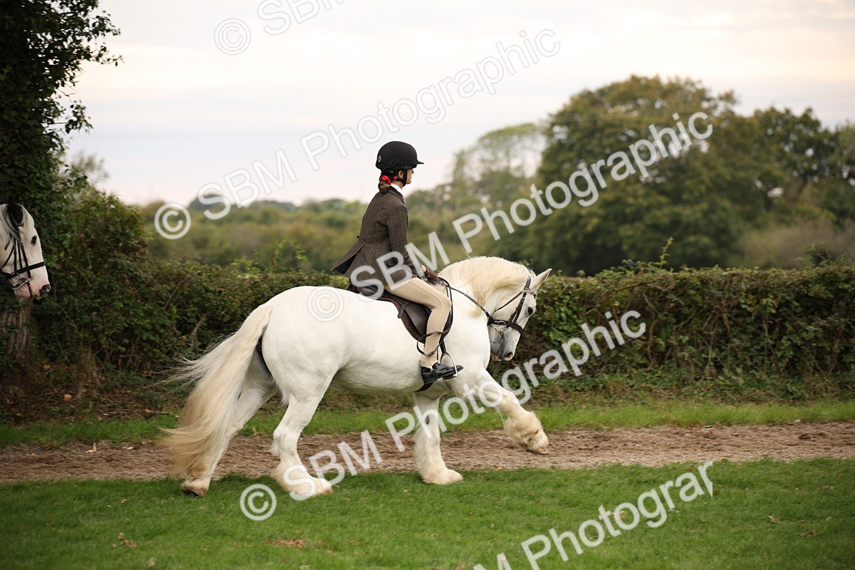 SBM_73451 - S68 - Traditional Cob Ridden