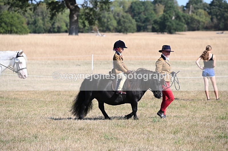 WJ6_7394 - Class 34 Judges Choice