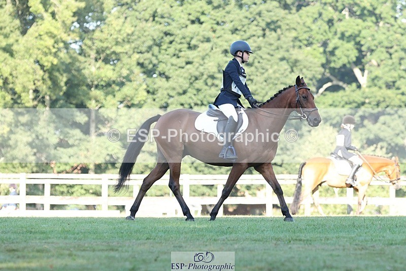 250823A-084442-25764 - Arena D