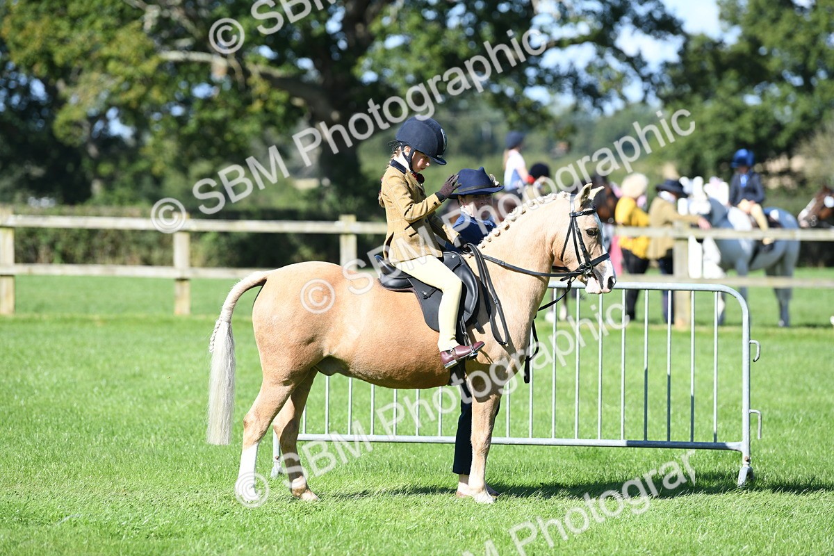 SBM_39544 - S18 - Novice & Newcomers Lead Rein Pony