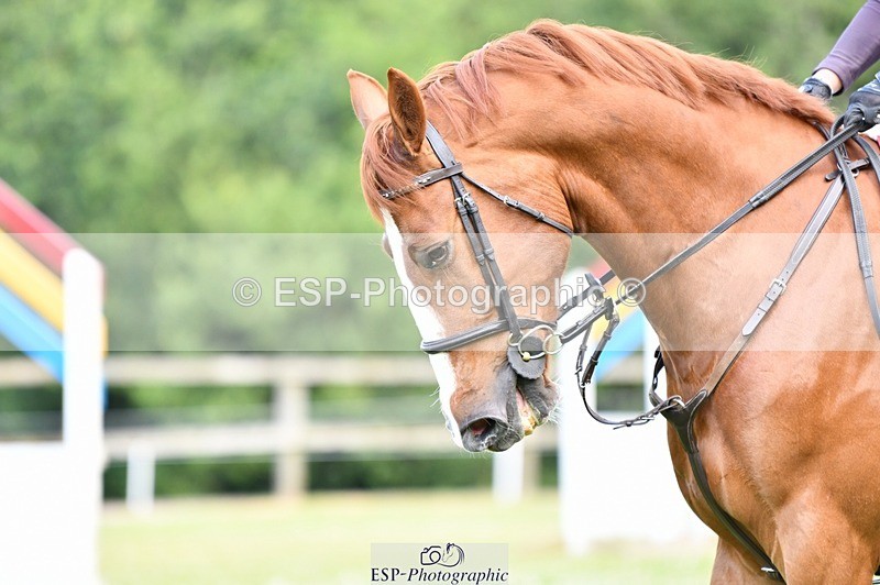 240704-102838-00955 - Cls 10 5 Yr Old Qualifier