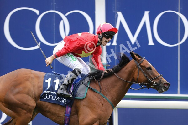 yr19082022r4-76 - Race 4 3.35pm Coolmore Wootton Bassett Nunthorpe Stakes (British Champion Series Race)