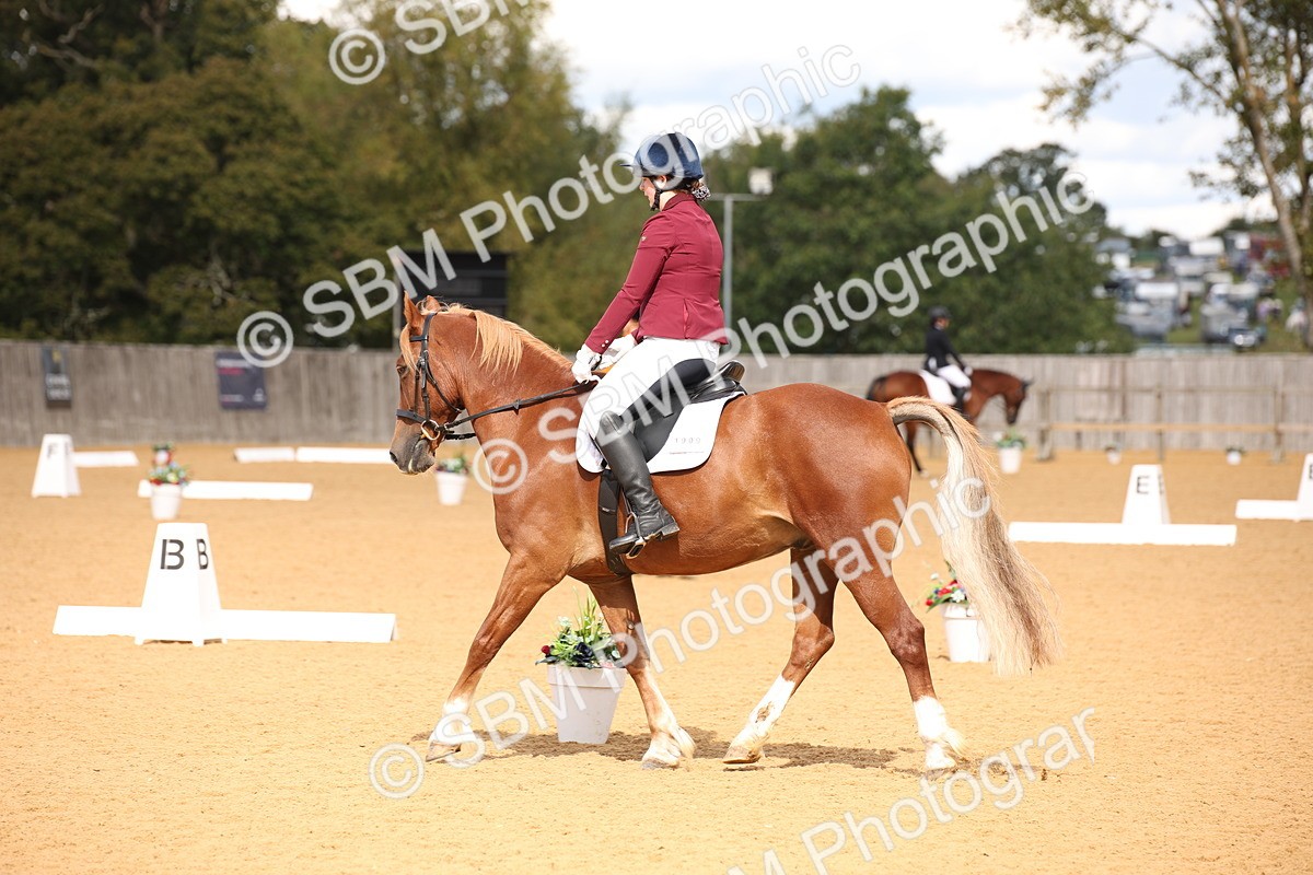 SBM_06741 - D8 Small Tour Championship Prelim 7