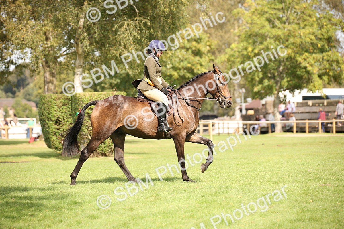 SBM_66004 - S64 - Riding Horse & Hack & Thoroughbred Ridden