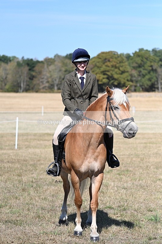 WJ7_1307 - Class 41 Prettiest Mare