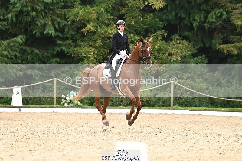 240811-134312-06149 - 127-Sarah.Stewart-DJoe.DiMaggio