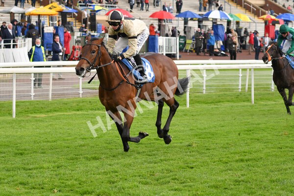 yr22052021r5-14 - Race 5 4.20pm William Hill EBF Novice Stakes (Plus 10 Race)