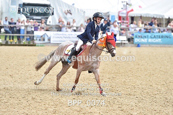 BPP_0074 - RHS 2019 Selection - *Just some random spectator shots so Lucky Dip if you are there!