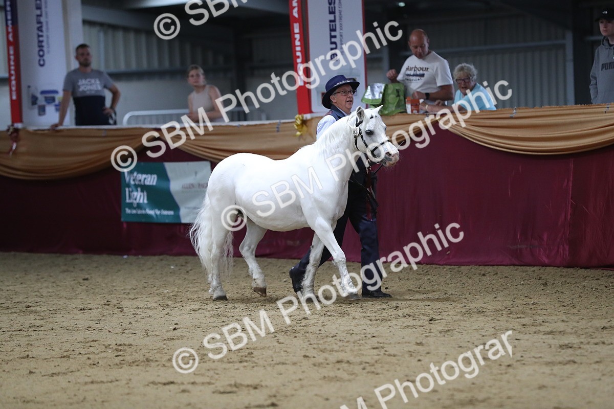 SBM_05089 - Class 8R- Regional -IH Veteran