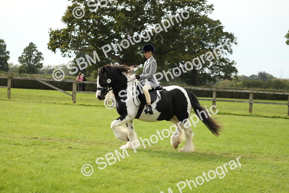 SBM_71499 - S41 - Ridden Equitation (Best Rider)