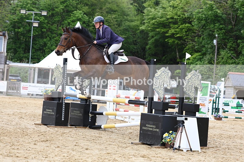 3E7A6229 - Class 4: Senior British Novice/90cm open
