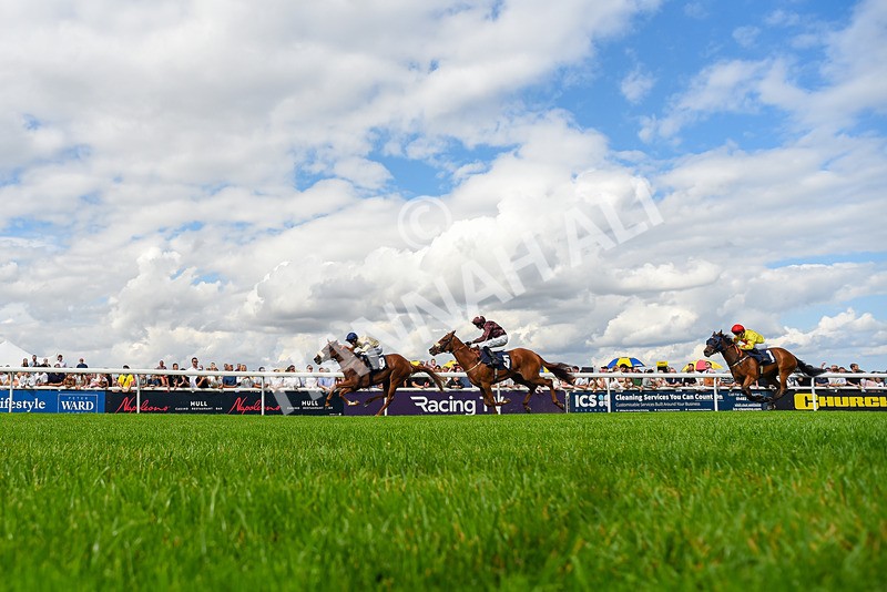 300826-Race 3-Pivotal Voyage-6882 - Race 3 2.50pm Churchill Tyres EBF Restricted Maiden Fillies' Stakes