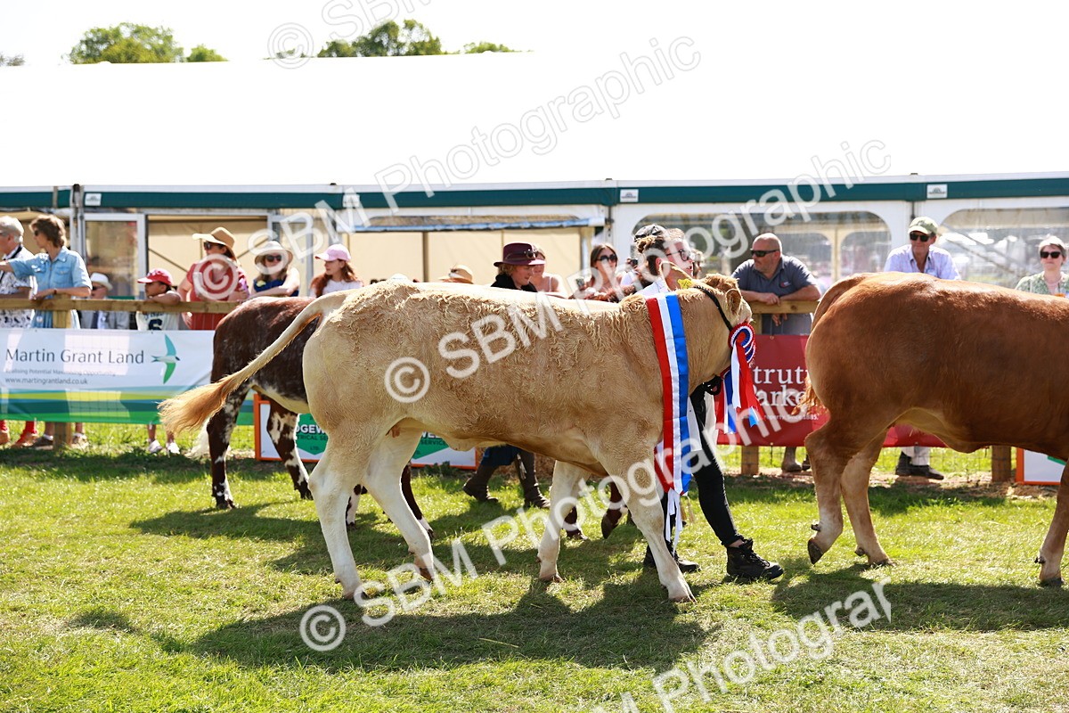 SBM_08421 - Grand Parade