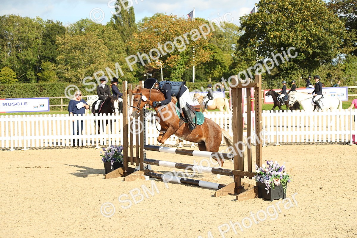 SBM_49576 - J7 - Junior Pony 60cm Championship