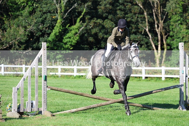3E7A7526 - Class 1: Novice Working Hunter Pony