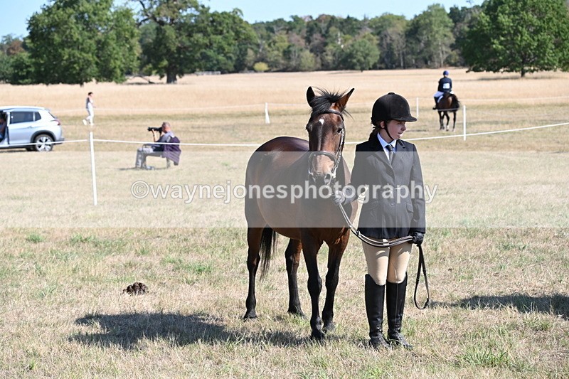 WJ6_7628 - Class 34 Judges Choice