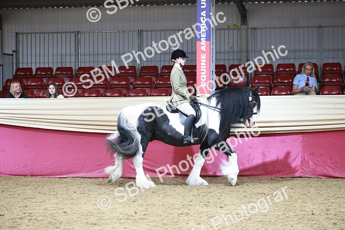 SBM_08724 - Class 12R - Regional Ridden Pre-Vet