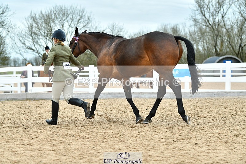 230416A-135655-04977 - Cls 60 Ridden Show Horse