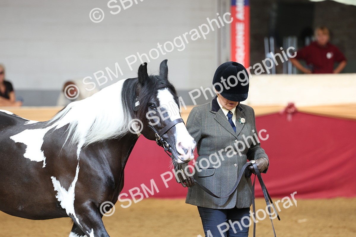 SBM_23312 - Class 903 - Supreme Final - IH Pre Vet