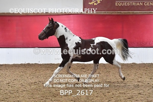 BPP_2617 - LOOSE JUMPING / SPSS