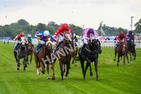 190523-Race 3-Marhaba The Champ-0469 - Race 3 3.00pm Knights Solicitors Handicap