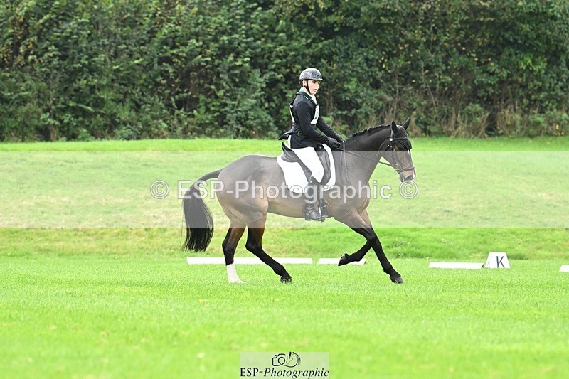 241024-100951-02943 - 406-Harvey.Crocker-THE.NIGHT.TRAVELLER