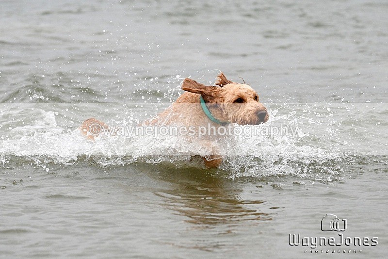 WJ7_9962 - Hayling Island Beach Shoot 22-09-24