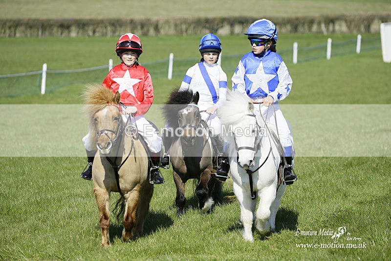 PtP 190322 56 - Wilton Hunt PtP Milborne St Andrew 19/03/22