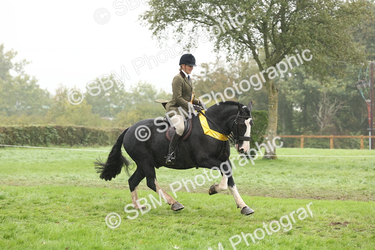 SBM_72916 - Ridden Horse Supreme Championship