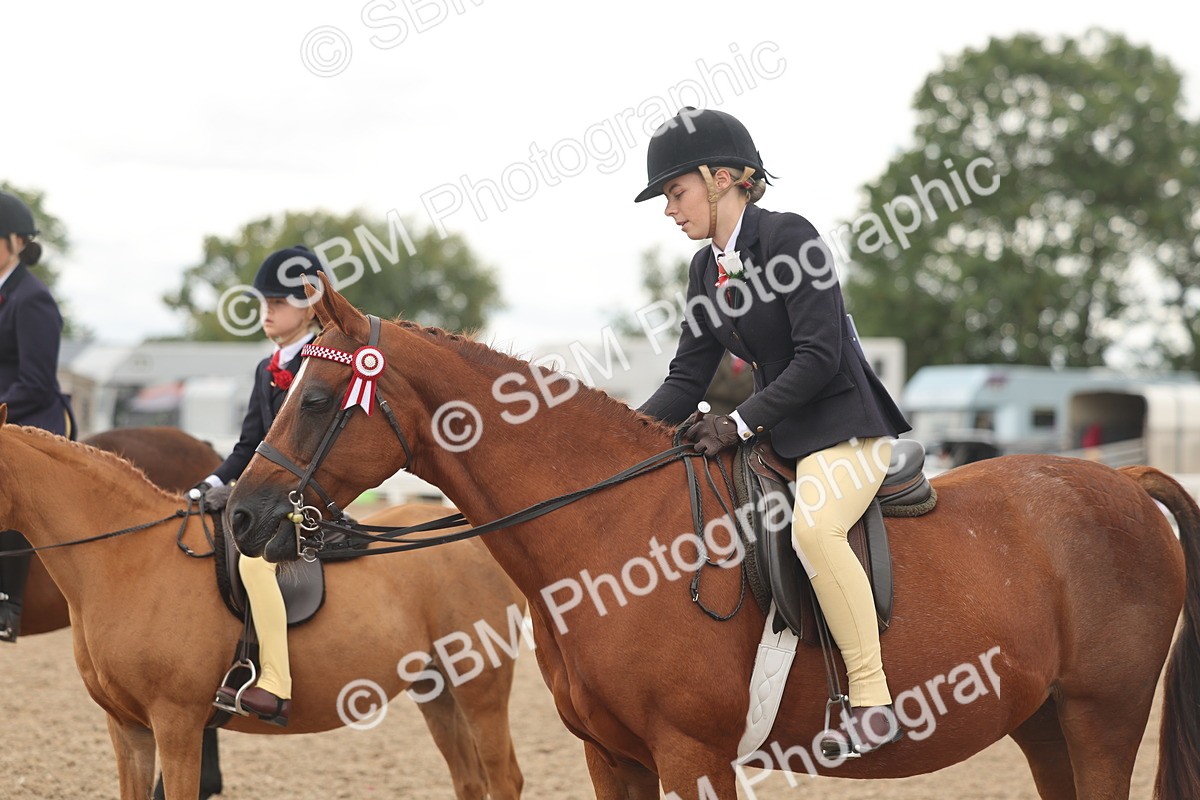 SBM_16058 - Class 311 - Ridden Show pony-Show hunter Pony