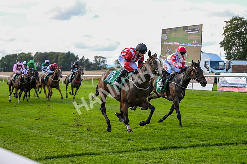 140926-Race 2-Bladey Lady-6824 - Race 2 2.51pm Patrick Hibbert-Foy Memorial Nursery Handicap