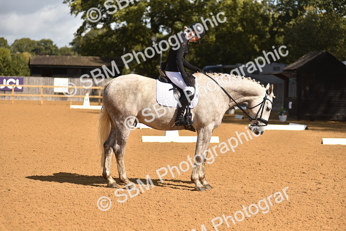 SBM_03336 - D4 - Small Tour Championship Intro 4