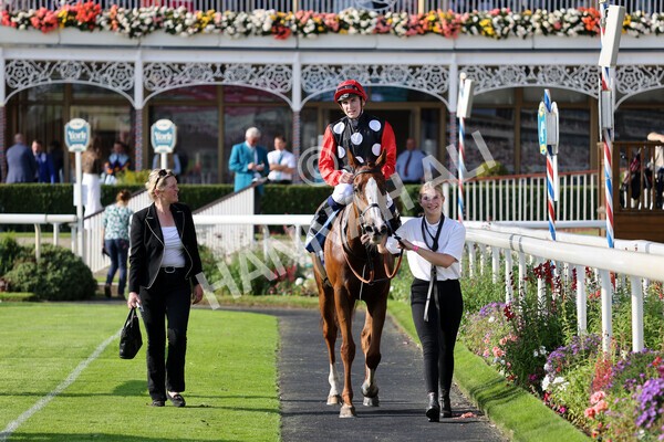 yr05092021r5-28 - Race 5 4.20pm Little Green Rascals Children's Nurseries Stakes