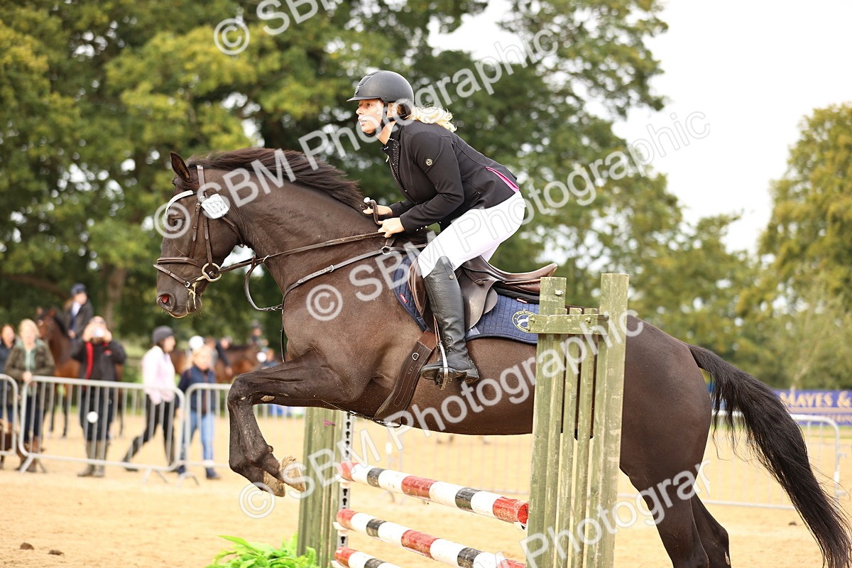 SBM_58484 - J41 - Grand Tour Horse & Pony 95cm