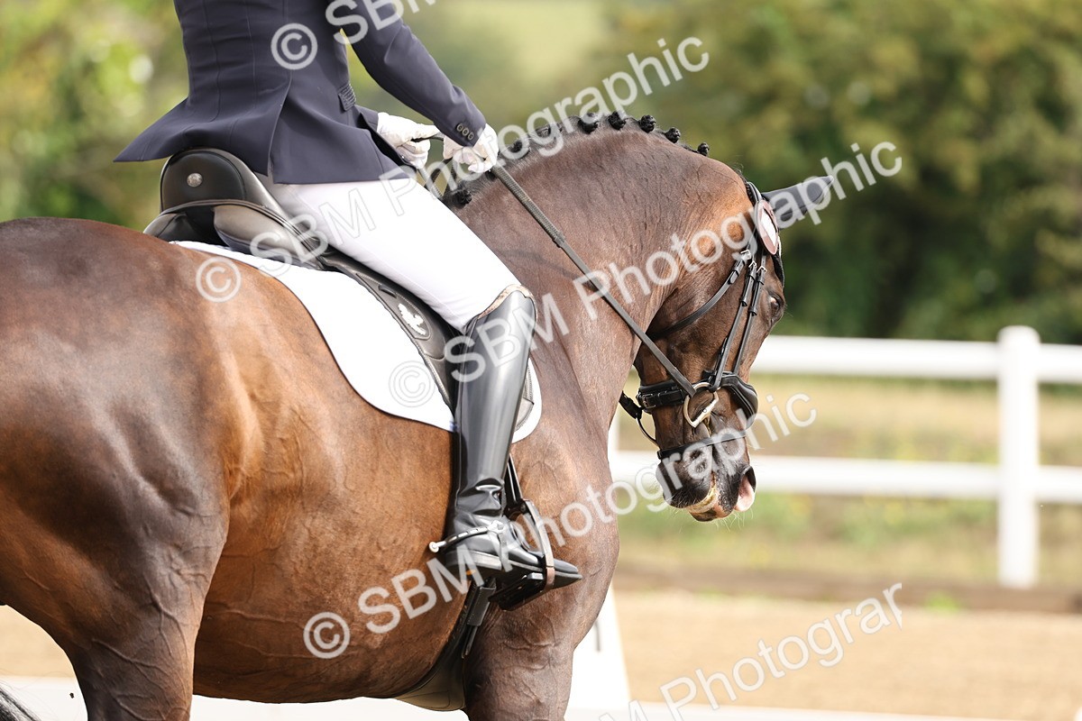 SBM_005508 - Class 6 - Novice 6 - 9.30-10.12