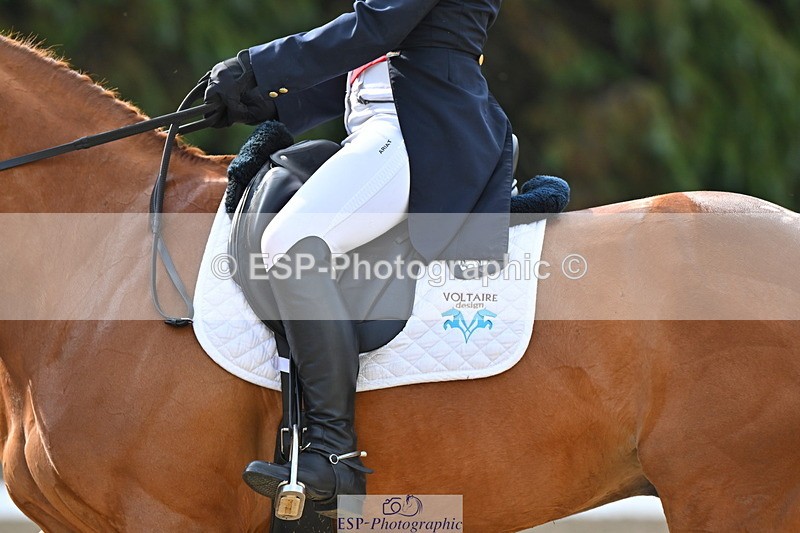 250523A-091252-05466 - D-453-Daisy.Berkeley-DIESE.DU.FIGUIER