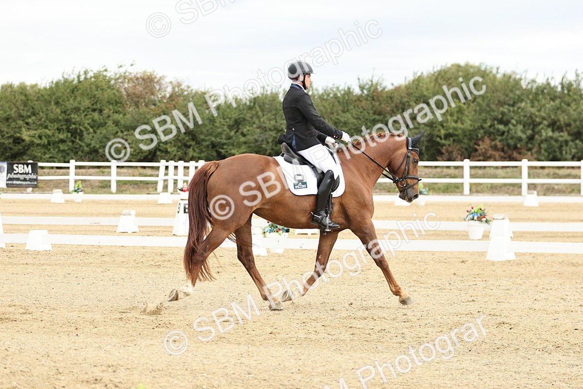 SBM_006901 - Class 21 - Medium 5 Bronze - 10.04-10.52