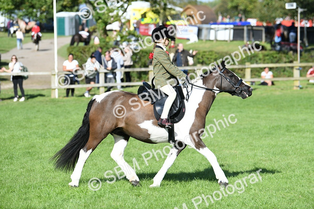 SBM_50379 - S21 - Novice & Newcomers 1st Ridden Pony