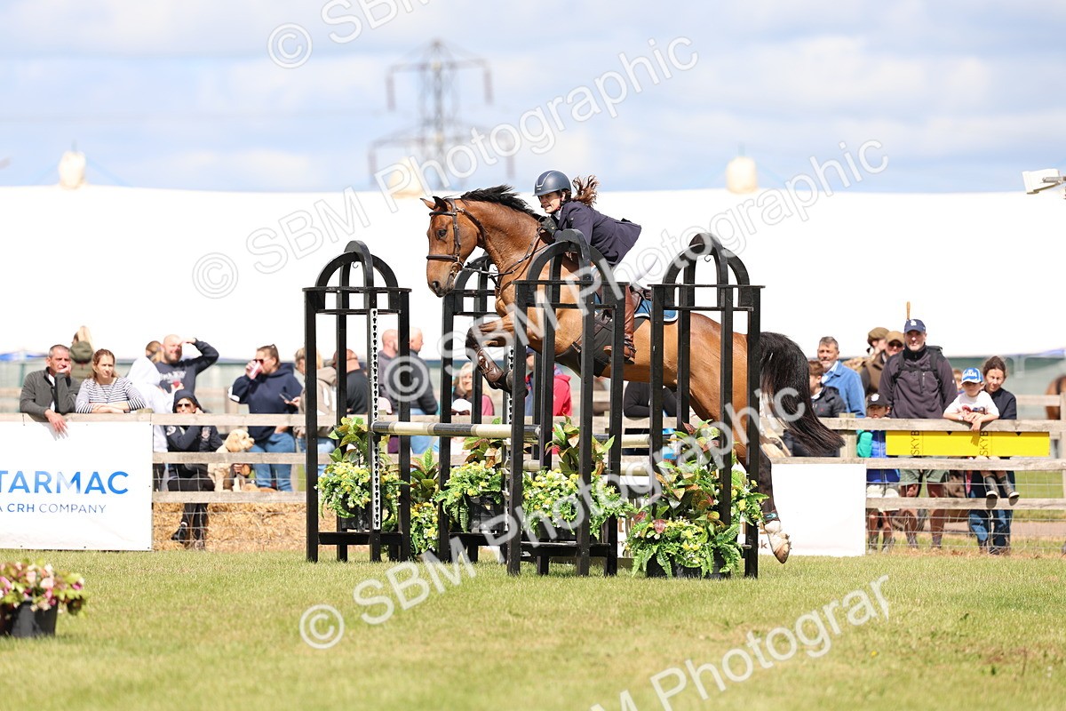 SBM_13674 - Class 206 - Senior Newcomers - 1.10m Open