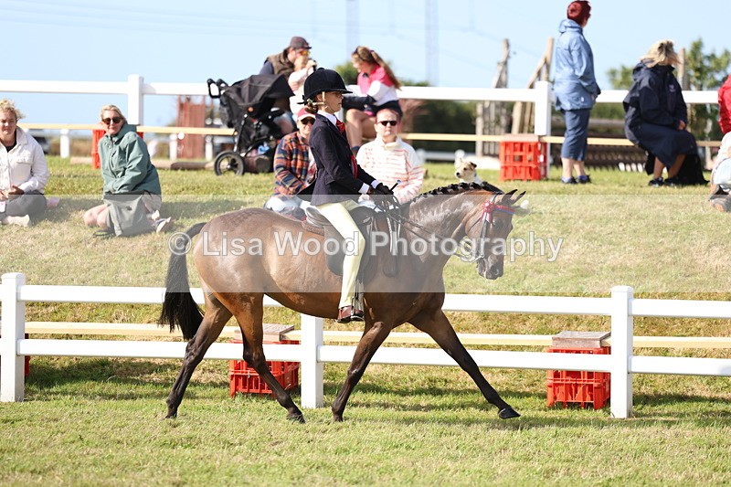 3E7A3819 - Supreme Championship