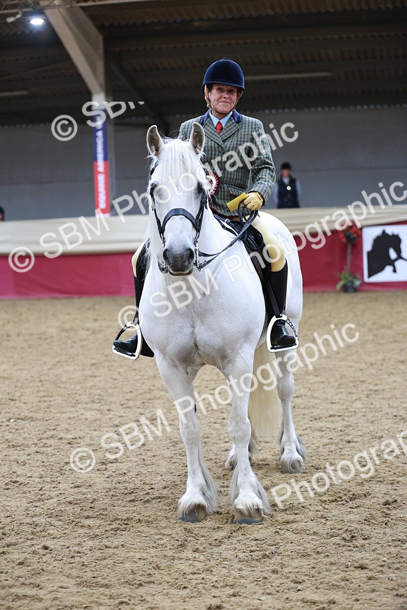 SBM_08359 - Class 11R - Regional Ridden Veteran
