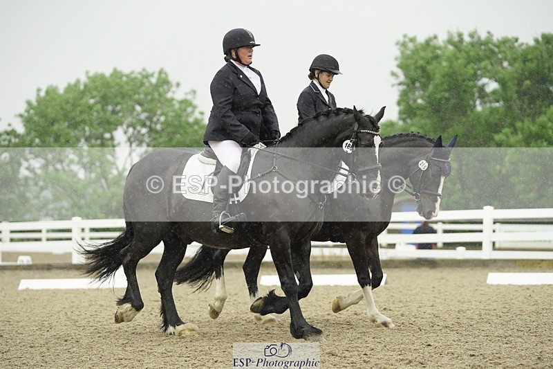 230708A-123642-00461 - BRC Pairs 5