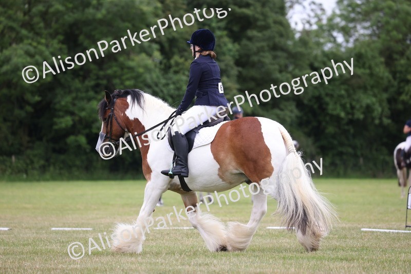 20250605-0523 - Class 1 - Intro 2