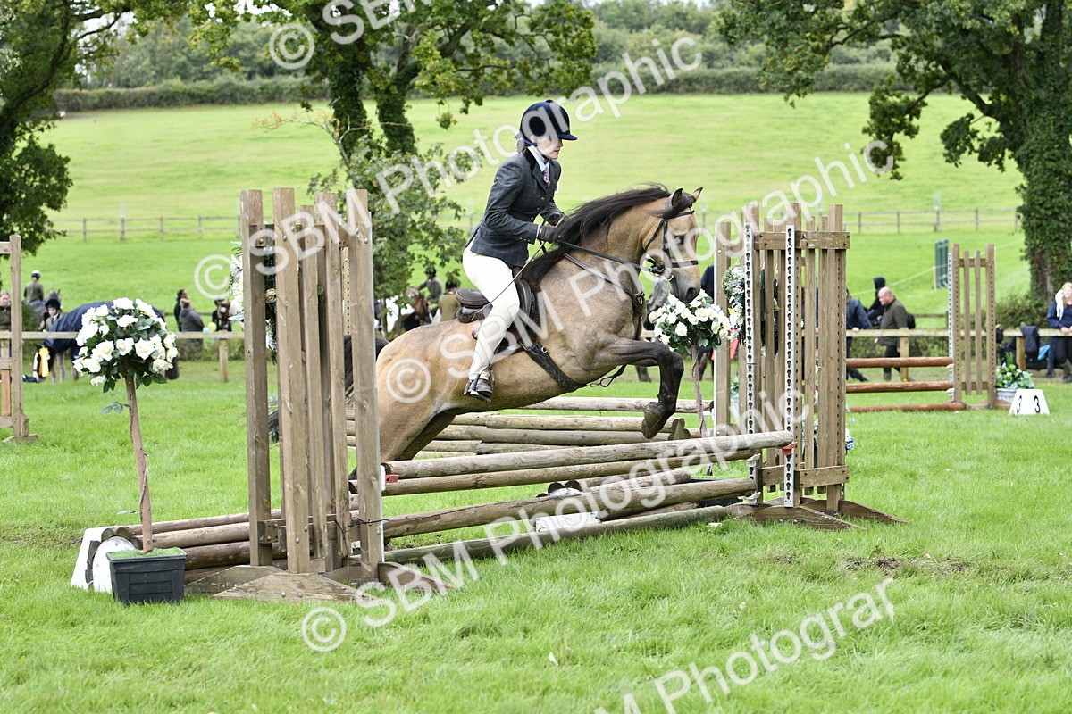 SBM_41352 - S32 - Mountain & Moorland Working Hunter Pony