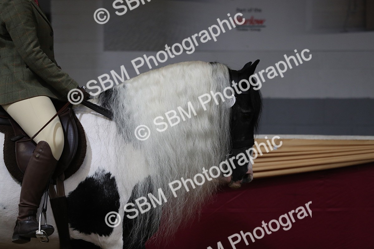 SBM_10297 - Class 102 Equitation (best rider) Adult