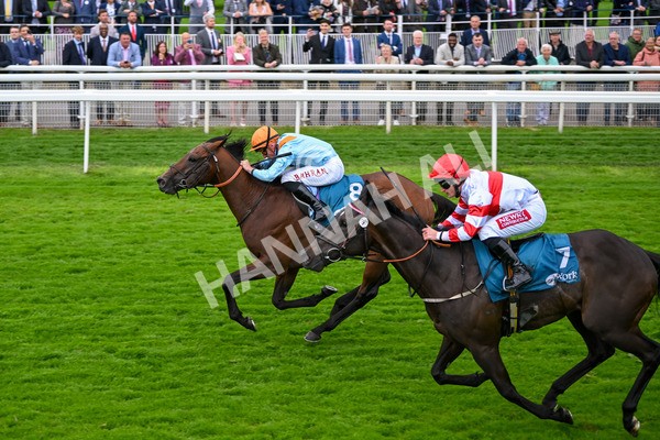 120724-Race 6-The Coffee Pod-6400 - Race 6 4.55pm Irish Thoroughbred Marketing Handicap