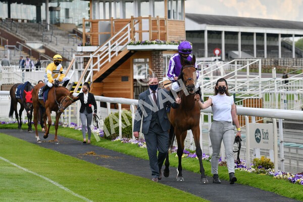 yr12052021r4-8 - Race 4 3.10pm Tattersalls Musidora Stakes