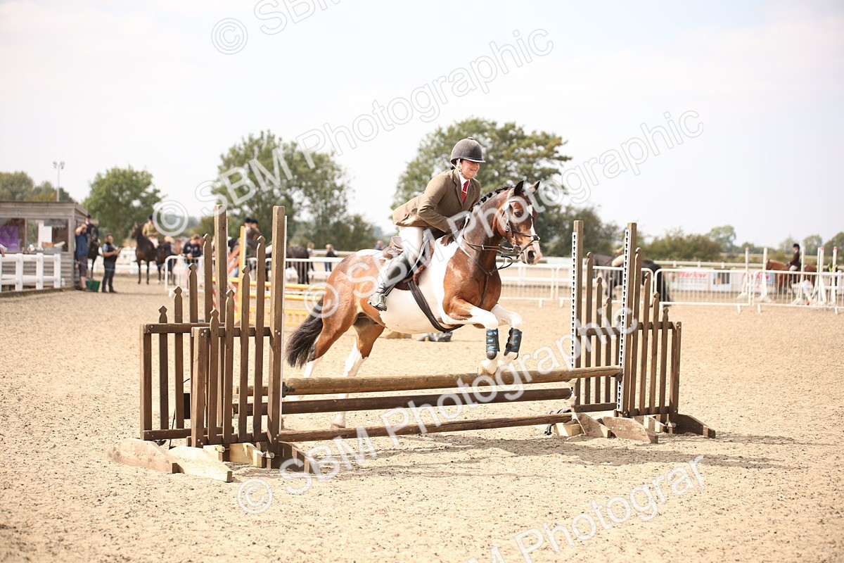 SBM_14950 - Class 408a - Working Veteran 70cm (15-19