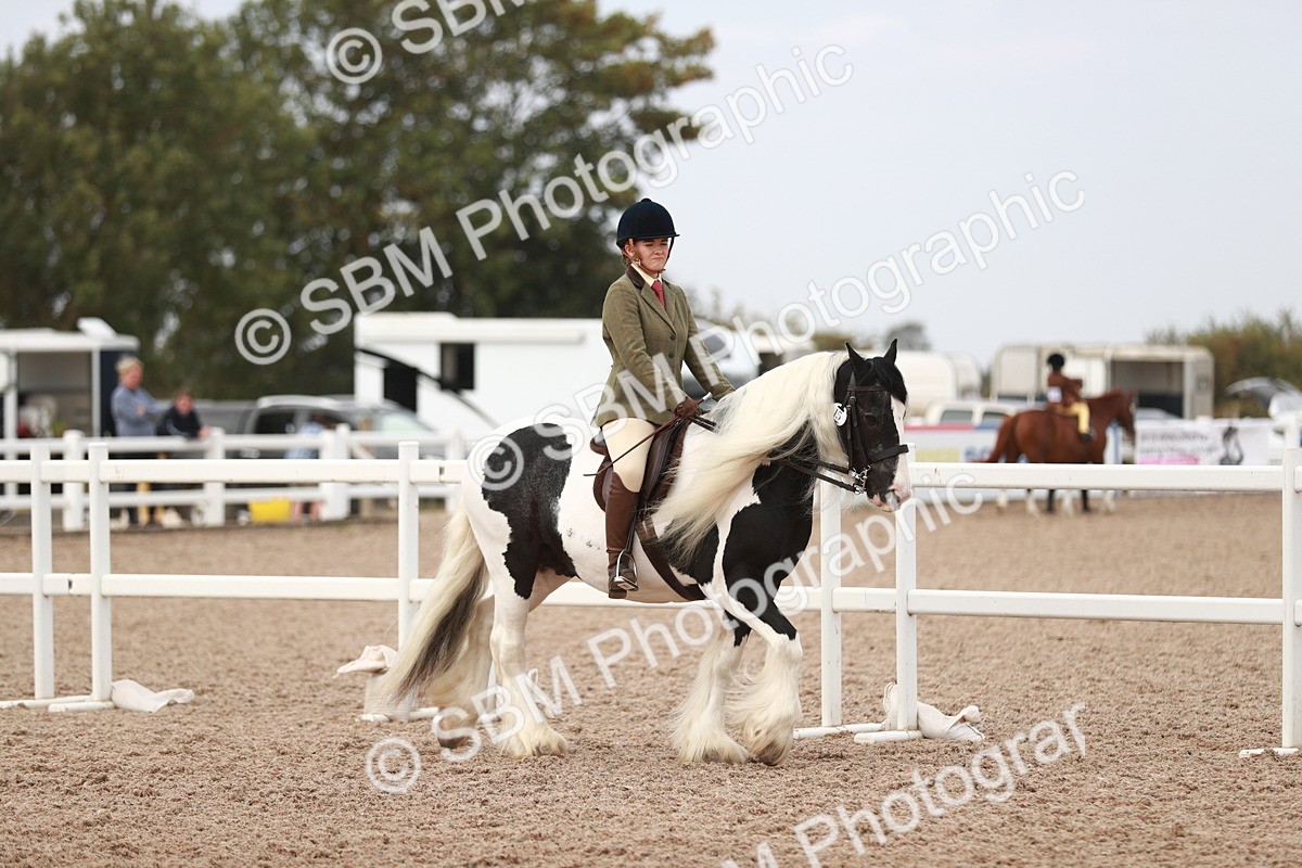 SBM_16577 - Class 214 Ridden Cob